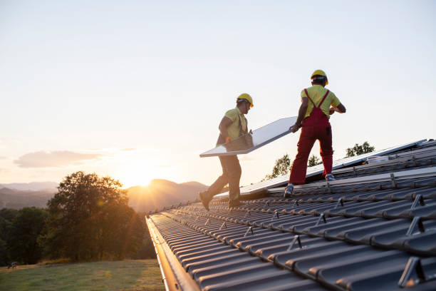 Best Roof Moss and Algae Removal  in North Industry, OH