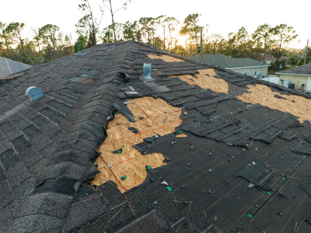 Best Skylight Installation and Repair  in North Industry, OH